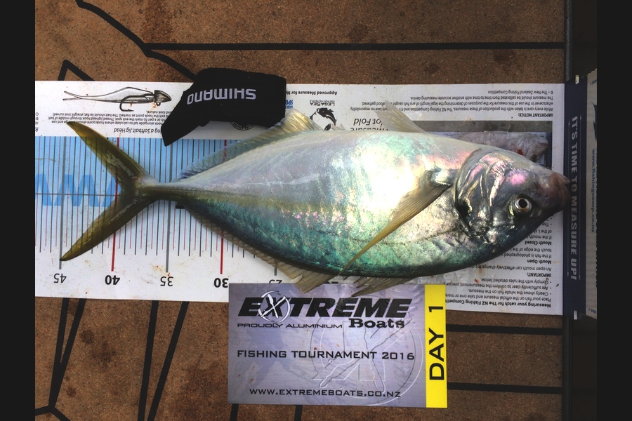 Chris  Fife caught this 39.5cm Trevally at Mercury islands during The Export NZ Fishing Competition