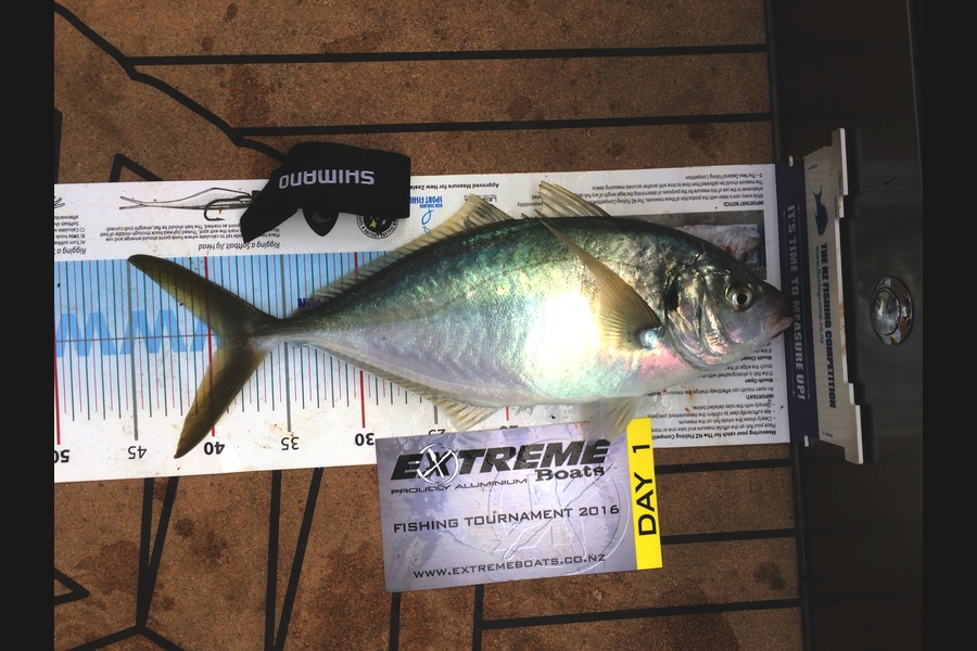 Roxanne Kelly caught this 38.0cm Trevally at Mercury islands during The Export NZ Fishing Competition