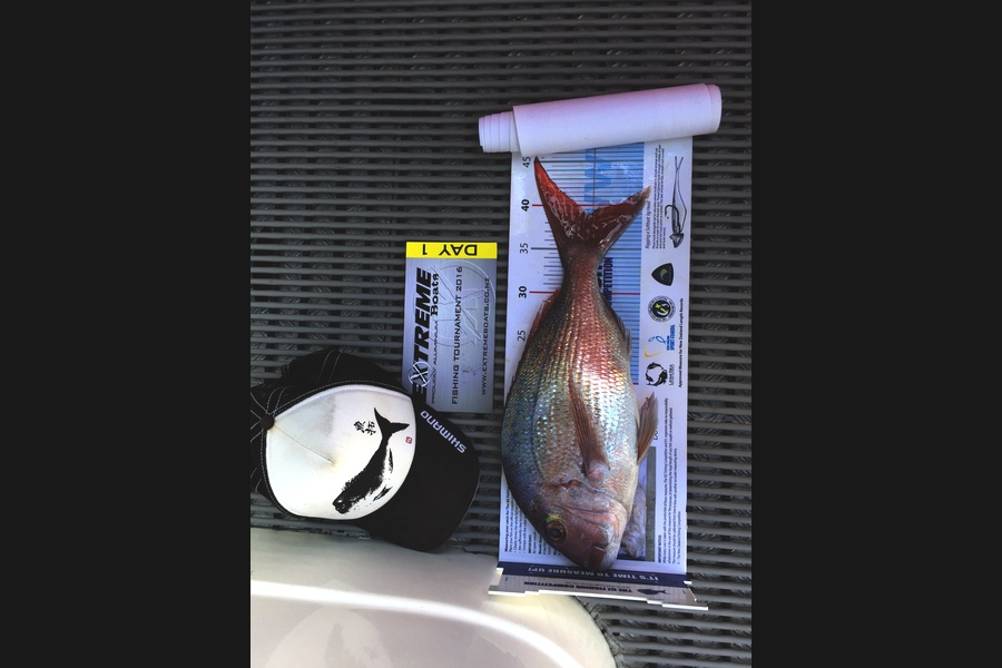 Nick Langdon caught this 39.0cm Snapper at Mercury Islands during The Export NZ Fishing Competition