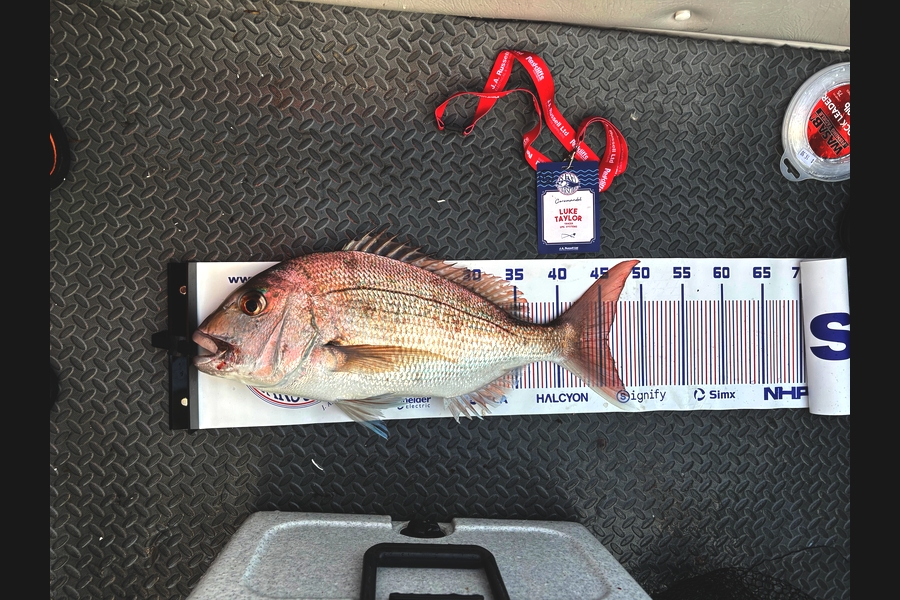 Luke Taylor caught this 46.0cm Snapper at Coromandel during The Export NZ Fishing Competition