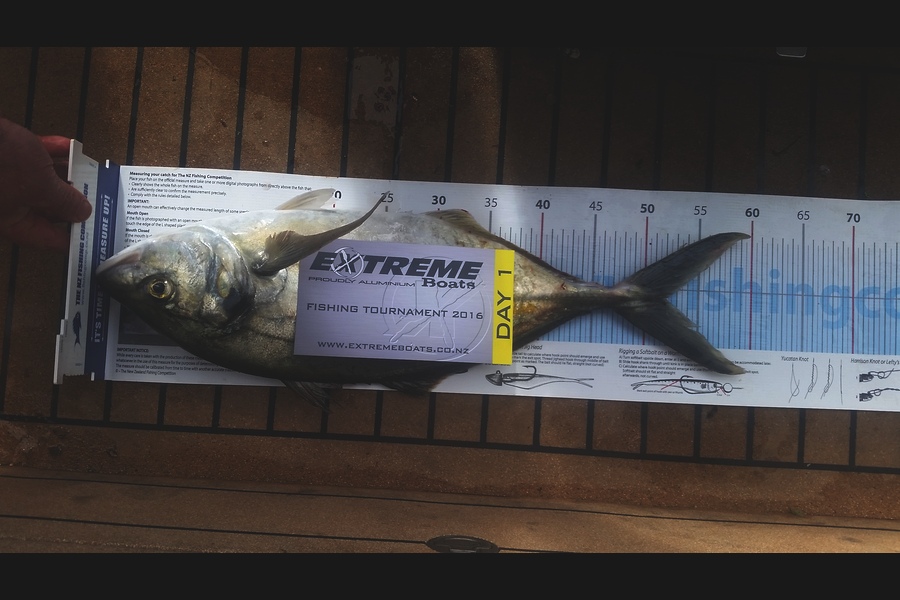 Mark Atikinson caught this 52.0cm Trevally at Mercs during The Export NZ Fishing Competition