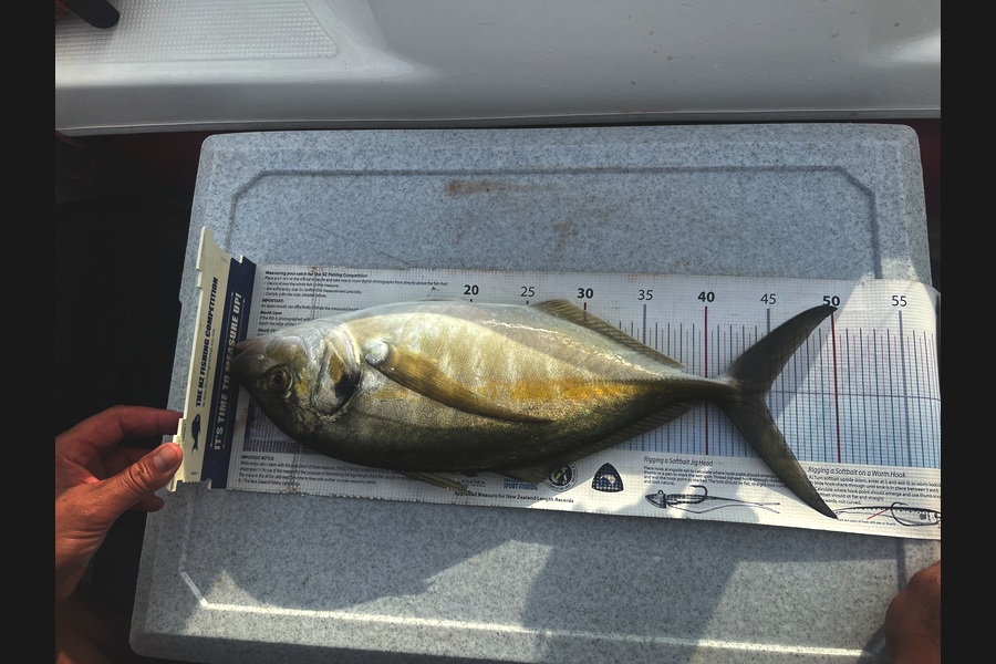 Melissa Martin caught this 44.5cm Trevally at Bay of Plenty during The Export NZ Fishing Competition