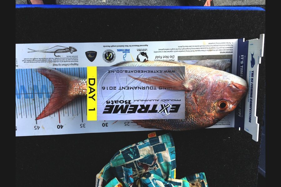 Steven Todd caught this 40.5cm Snapper at Mercury during The Export NZ Fishing Competition