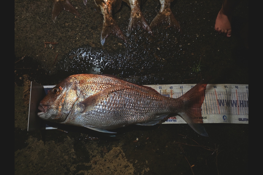 Rochelle Dunn caught this 72.0cm Snapper at Northland during The Export NZ Fishing Competition