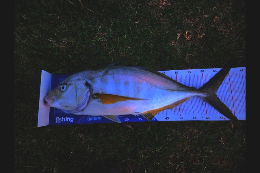 Stephen Heka caught this 64.0cm Trevally at Northland during The Export NZ Fishing Competition