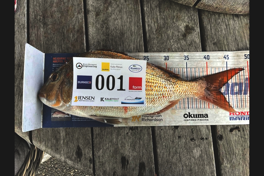 Steve Kale caught this 42.5cm Snapper at Bay of Plenty during The Export NZ Fishing Competition