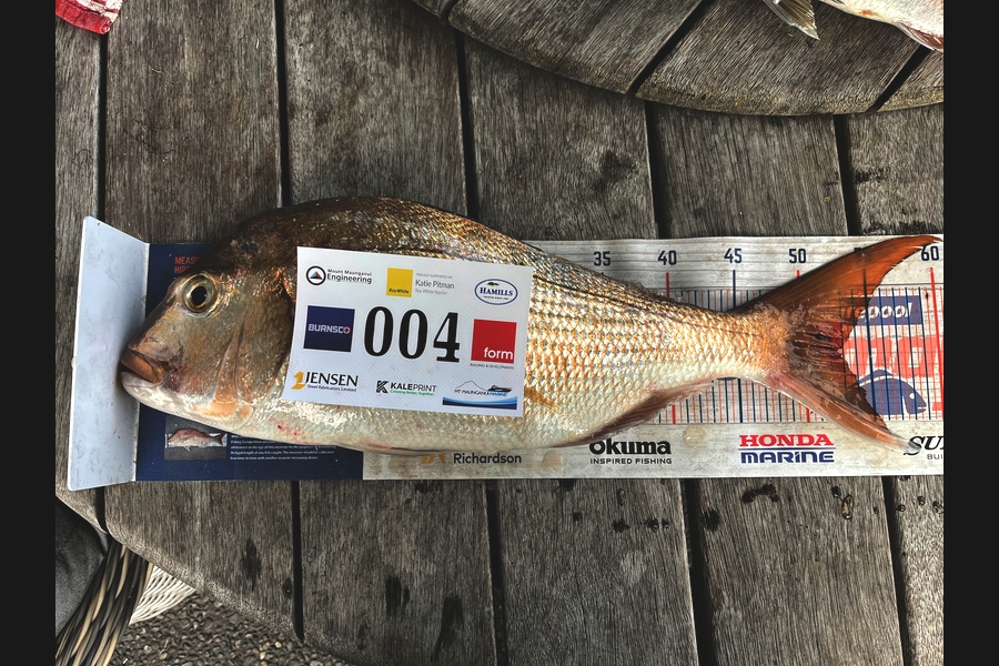 Brent Kale caught this 52.5cm Snapper at Bay of Plenty during The Export NZ Fishing Competition