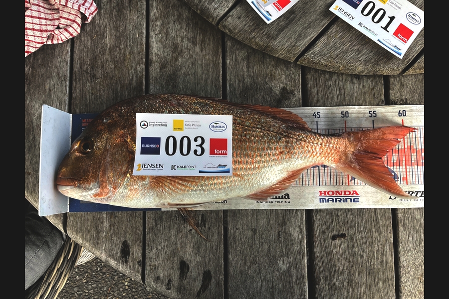 Will Kale caught this 56.0cm Snapper at Bay of Plenty during The Export NZ Fishing Competition