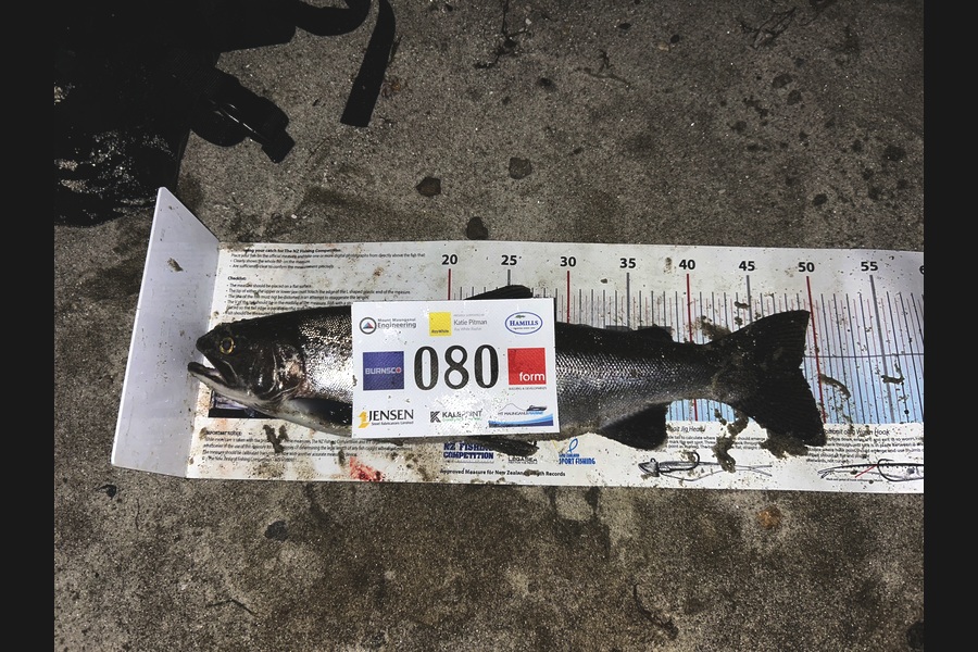 Mitchell Tombleson caught this 48.5cm Trout at Bay of Plenty during The Export NZ Fishing Competition