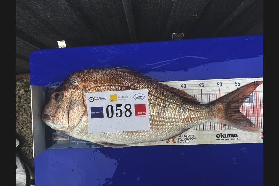 Mia Hough caught this 55.0cm Snapper at Bay of Plenty during The Export NZ Fishing Competition