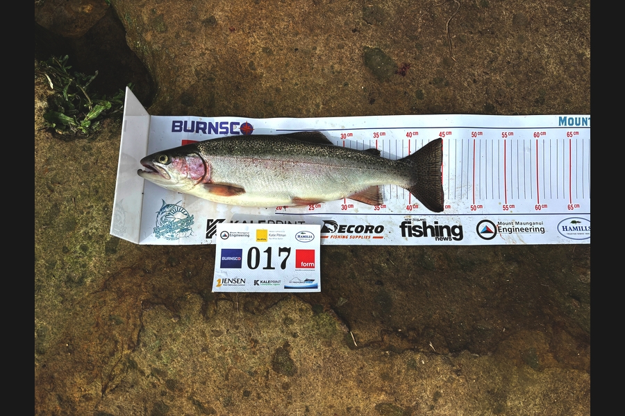 Sydney  Hines caught this 44.5cm Trout at Bay of Plenty during The Export NZ Fishing Competition