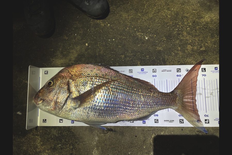 Rachell Penberth caught this 66.0cm Snapper at Taranaki during The Export NZ Fishing Competition