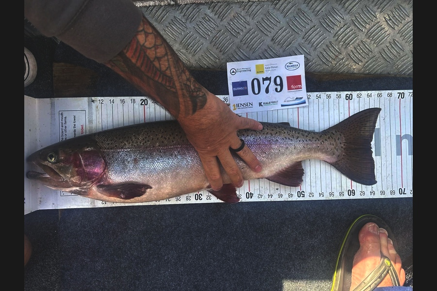 Anthony Nel caught this 64.0cm Trout at Bay of Plenty during The Export NZ Fishing Competition