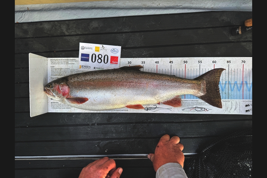 Mitchell Tombleson caught this 61.5cm Trout at Bay of Plenty during The Export NZ Fishing Competition