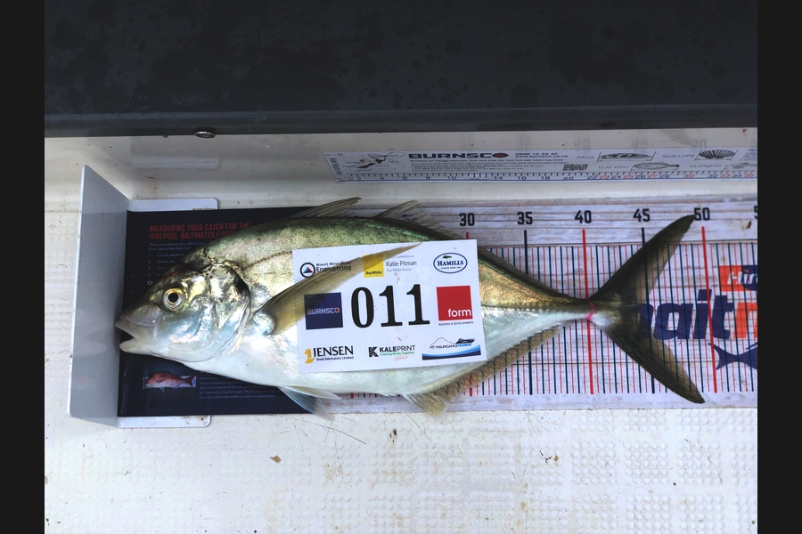 Blake Greyling caught this 44.5cm Trevally at Bay of Plenty during The Export NZ Fishing Competition