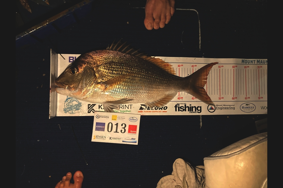 Tom Sheppard caught this 48.5cm Snapper at Bay of Plenty during The Export NZ Fishing Competition