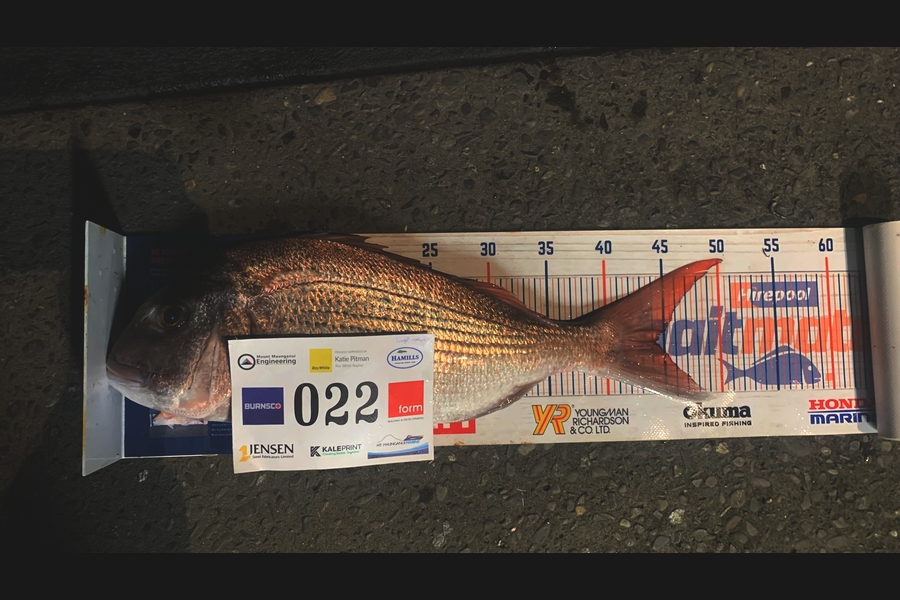 Tyler Speed caught this 44.0cm Snapper at Bay of Plenty during The Export NZ Fishing Competition