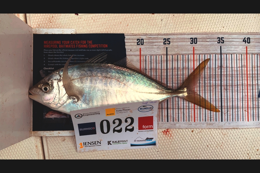 Tyler Speed caught this 30.0cm Trevally at Bay of Plenty during The Export NZ Fishing Competition
