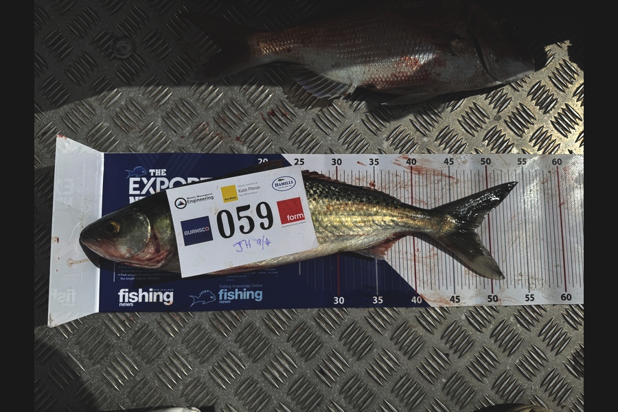 Josh Hough caught this 48.0cm Kahawai at Bay of Plenty during The Export NZ Fishing Competition