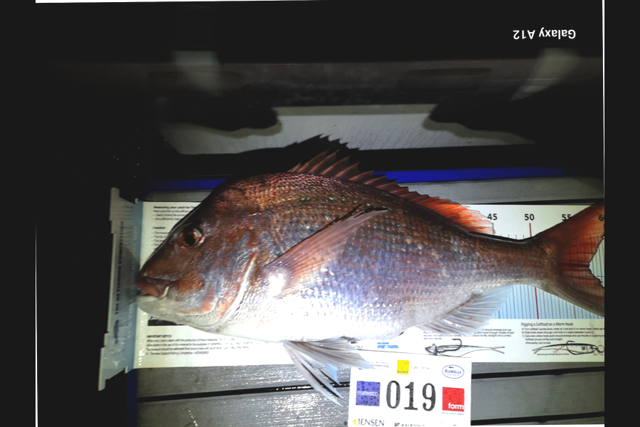 Steve Burling caught this 57.5cm Snapper at Bay of Plenty during The Export NZ Fishing Competition