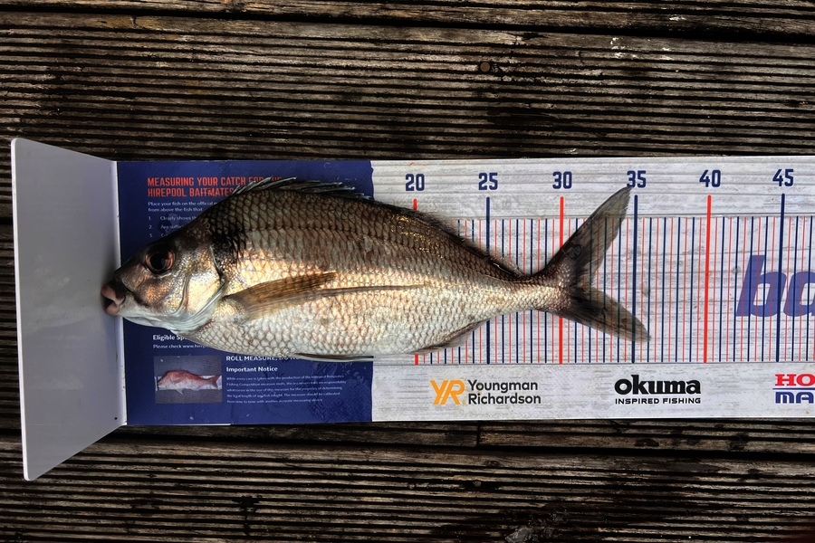 Andrew Froome caught this 32.0cm Tarakihi at Taranaki during The Export NZ Fishing Competition