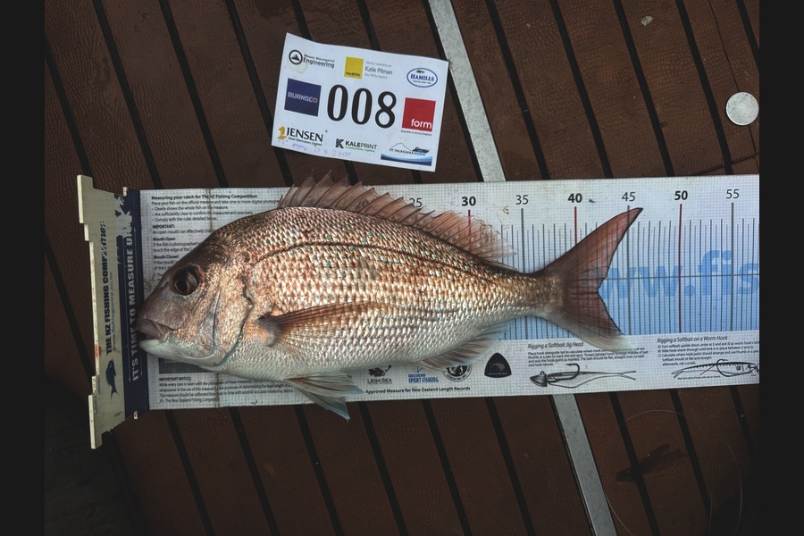 Zach Pennell caught this 42.0cm Snapper at Bay of Plenty during The Export NZ Fishing Competition