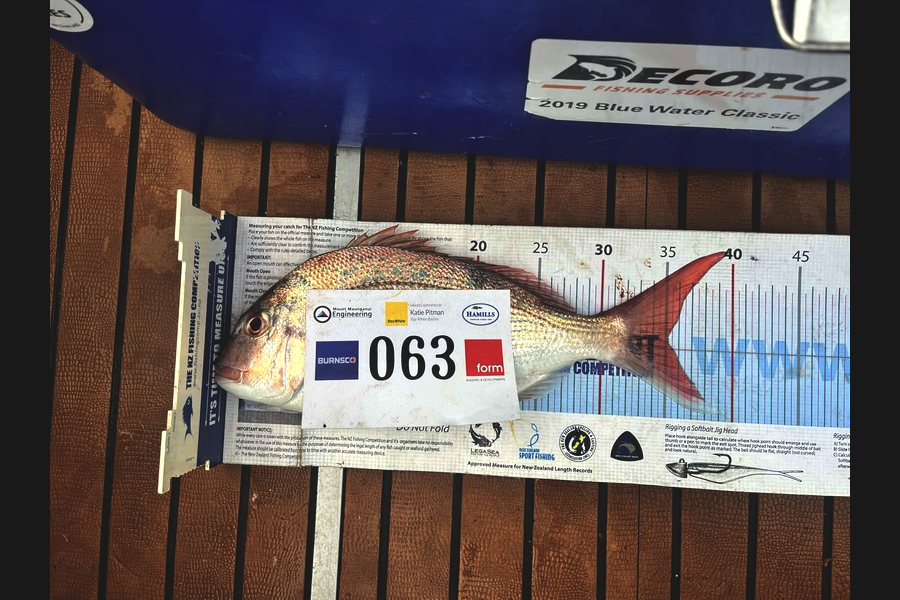 Jenny Burgess caught this 35.0cm Snapper at Bay of Plenty during The Export NZ Fishing Competition