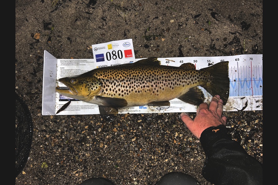 Mitchell Tombleson caught this 62.0cm Trout at Bay of Plenty during The Export NZ Fishing Competition