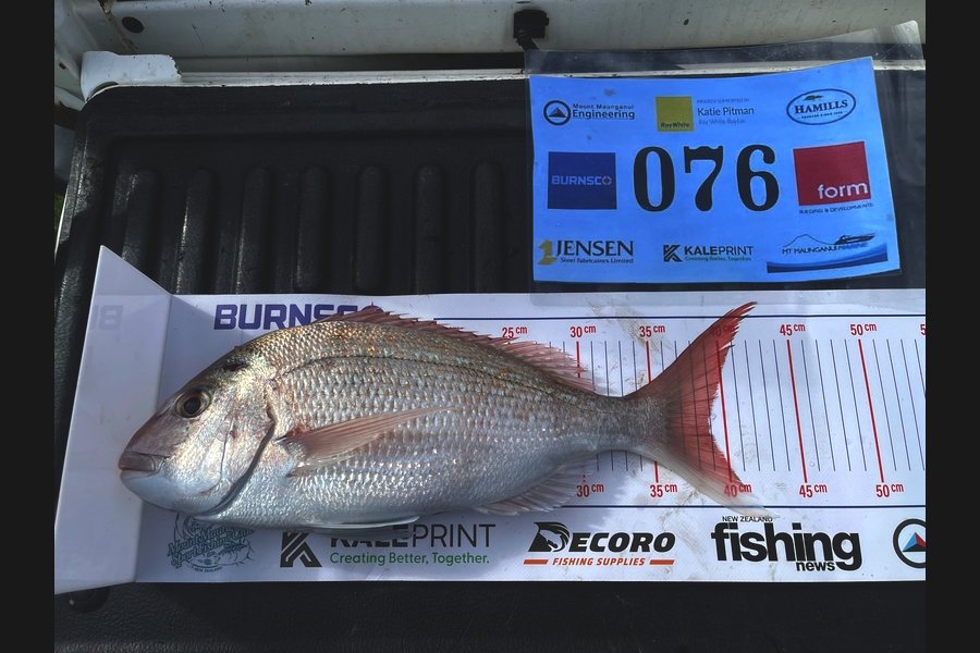 Dylan Elmsly caught this 39.0cm Snapper at Bay of Plenty during The Export NZ Fishing Competition