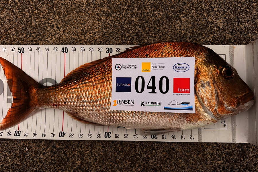 Scott Weir caught this 51.5cm Snapper at Bay of Plenty during The Export NZ Fishing Competition