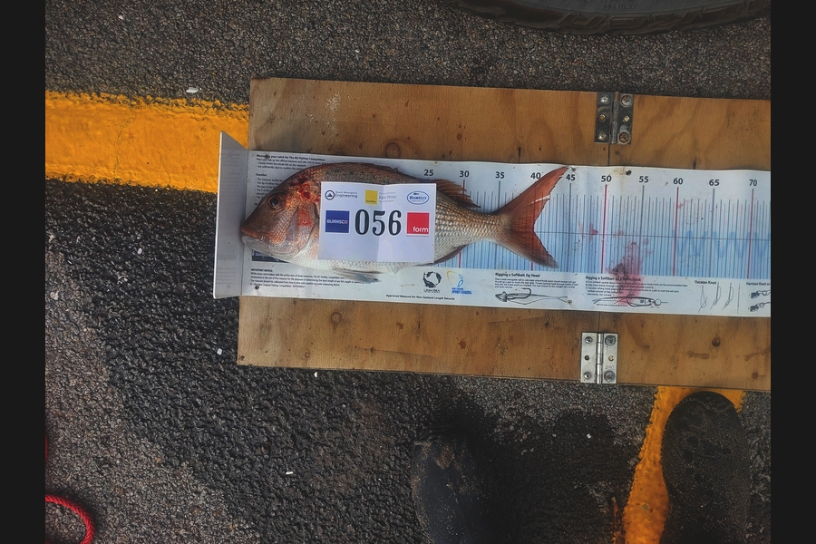 Aidan Brown caught this 40.0cm Snapper at Bay of Plenty during The Export NZ Fishing Competition