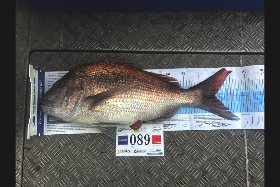 Cody  Burdis caught this 55.0cm Snapper at Bay of Plenty during The Export NZ Fishing Competition