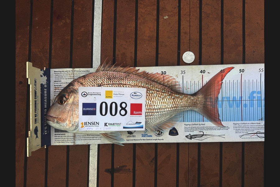 Zach Pennell caught this 43.5cm Snapper at Bay of Plenty during The Export NZ Fishing Competition