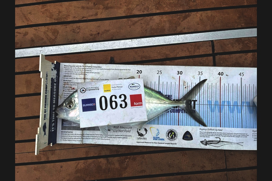 Jenny Burgess caught this 33.0cm Trevally at Bay of Plenty during The Export NZ Fishing Competition