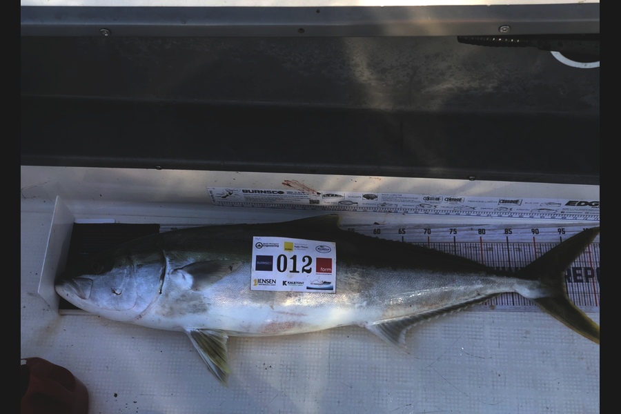 Stephanus Greyling caught this 94.5cm Kingfish at Bay of Plenty during The Export NZ Fishing Competition