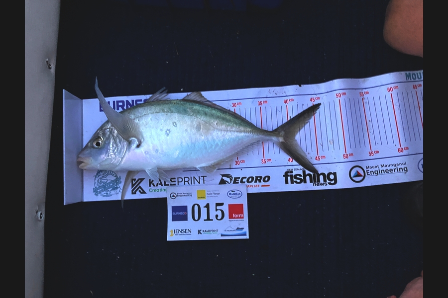 Sam Sheppard caught this 41.0cm Trevally at Bay of Plenty during The Export NZ Fishing Competition