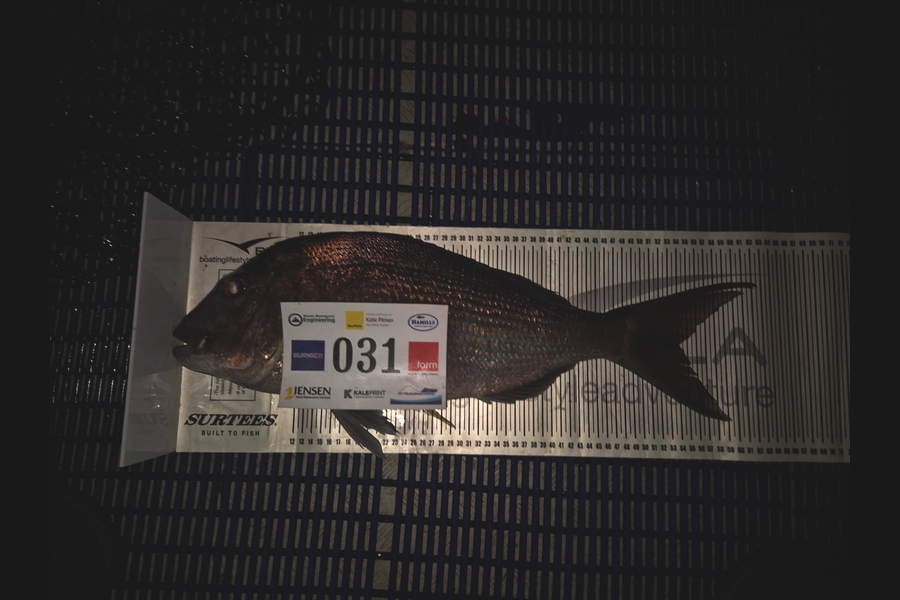 Dylan Mills caught this 54.0cm Snapper at Bay of Plenty during The Export NZ Fishing Competition