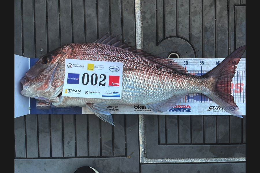 Gavin Kale caught this 64.0cm Snapper at Bay of Plenty during The Export NZ Fishing Competition