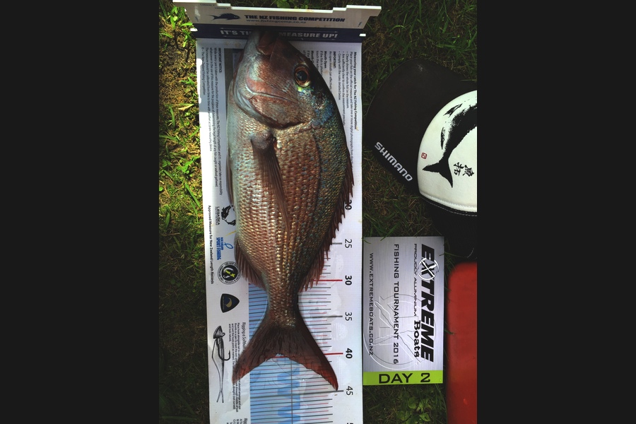 Wayne Langdon caught this 39.5cm Snapper at Mercury islands during The Export NZ Fishing Competition