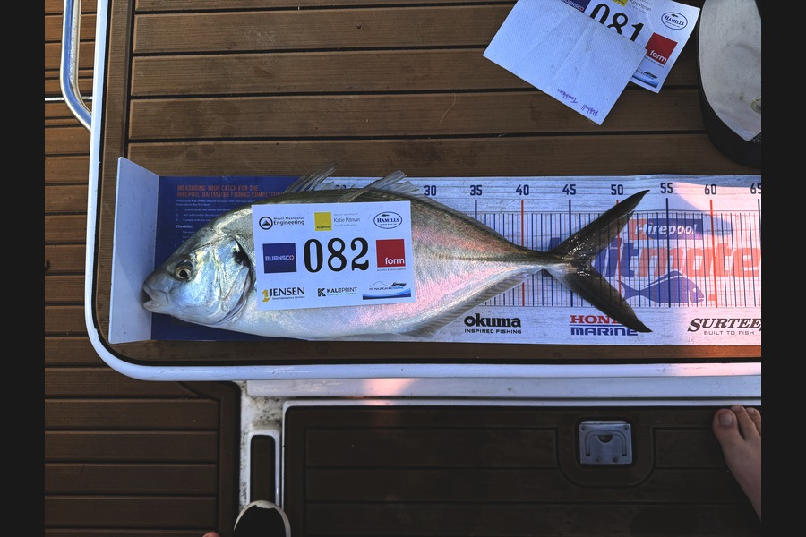 Quinn Tombleson caught this 47.0cm Trevally at Bay of Plenty during The Export NZ Fishing Competition