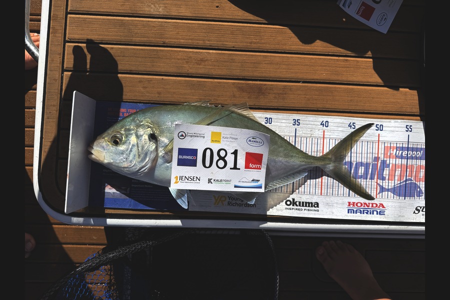 Gus Tombleson caught this 43.5cm Trevally at Bay of Plenty during The Export NZ Fishing Competition