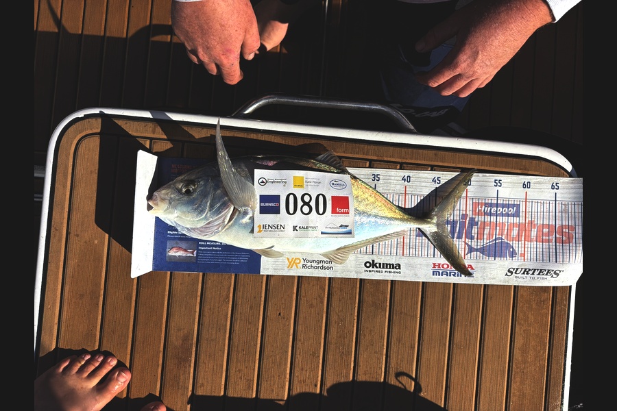 Mitchell Tombleson caught this 46.5cm Trevally at Bay of Plenty during The Export NZ Fishing Competition
