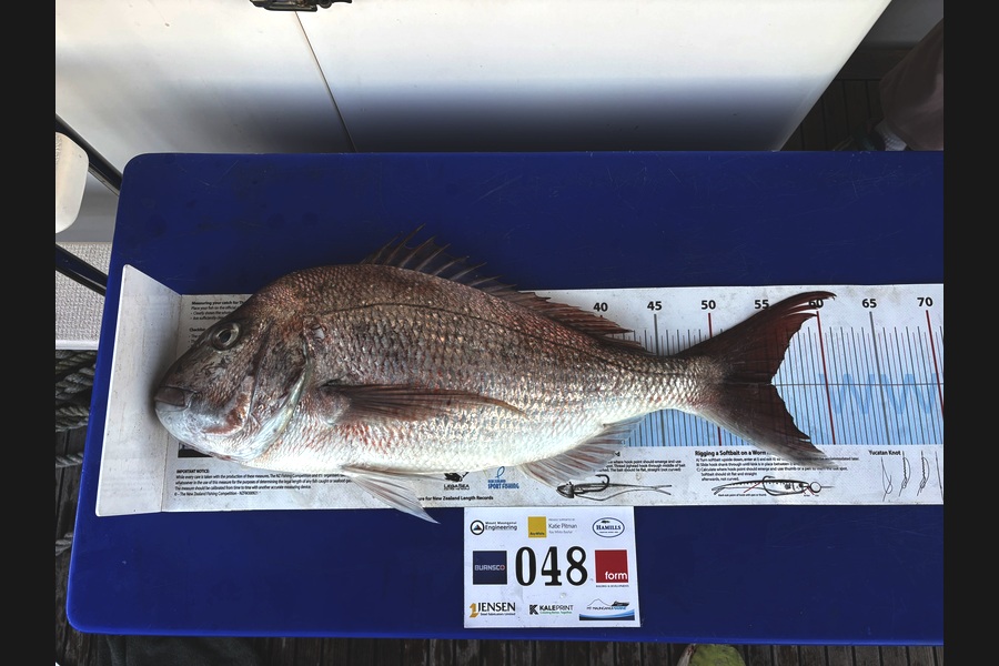 Reuben Flude caught this 55.0cm Snapper at Bay of Plenty during The Export NZ Fishing Competition