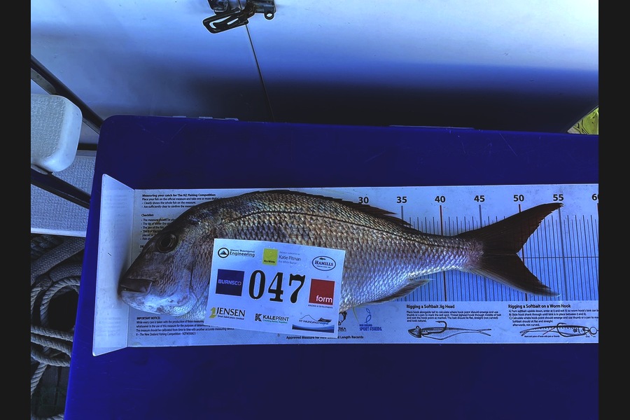 Ada Flude caught this 49.0cm Snapper at Bay of Plenty during The Export NZ Fishing Competition