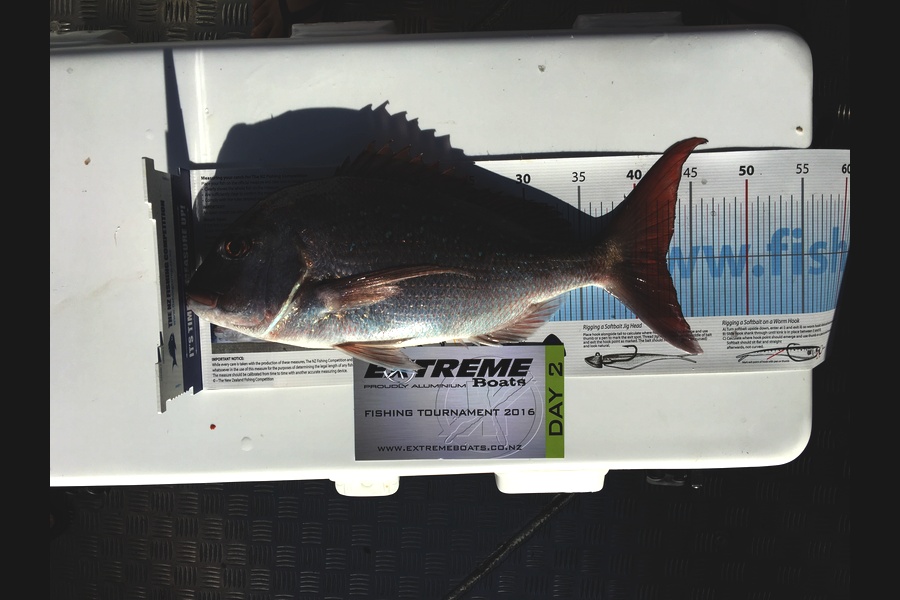 Mark Jacobsen caught this 42.5cm Snapper at Hot water beach during The Export NZ Fishing Competition