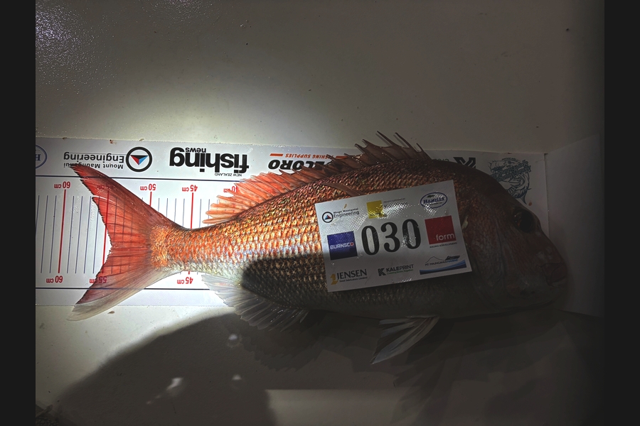 Glen Sheaff caught this 54.0cm Snapper at Bay of Plenty during The Export NZ Fishing Competition