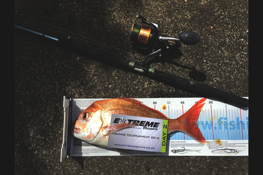 Carl Whitehead caught this 44.5cm Snapper at Opito bay during The Export NZ Fishing Competition