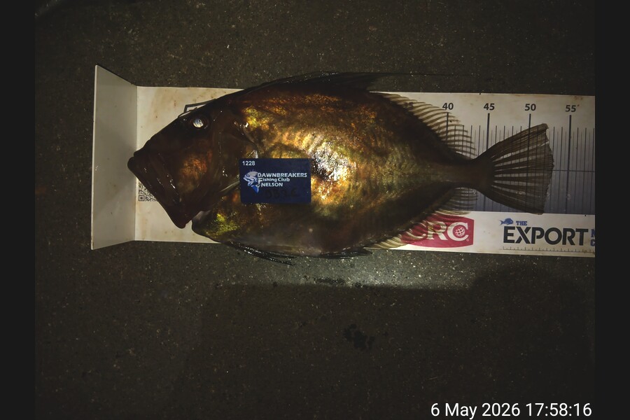 Corey Parsons caught this 53.0cm John Dory at Nelson/Marlborough during The Export NZ Fishing Competition