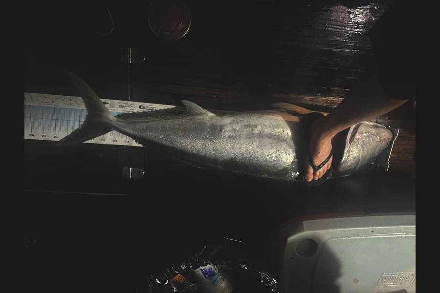Craig Treneman caught this 136cm Kingfish at Northland during The Export NZ Fishing Competition