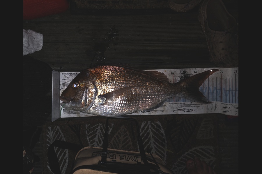 Ivan Toopi caught this 60.5cm Snapper at Taranaki during The Export NZ Fishing Competition